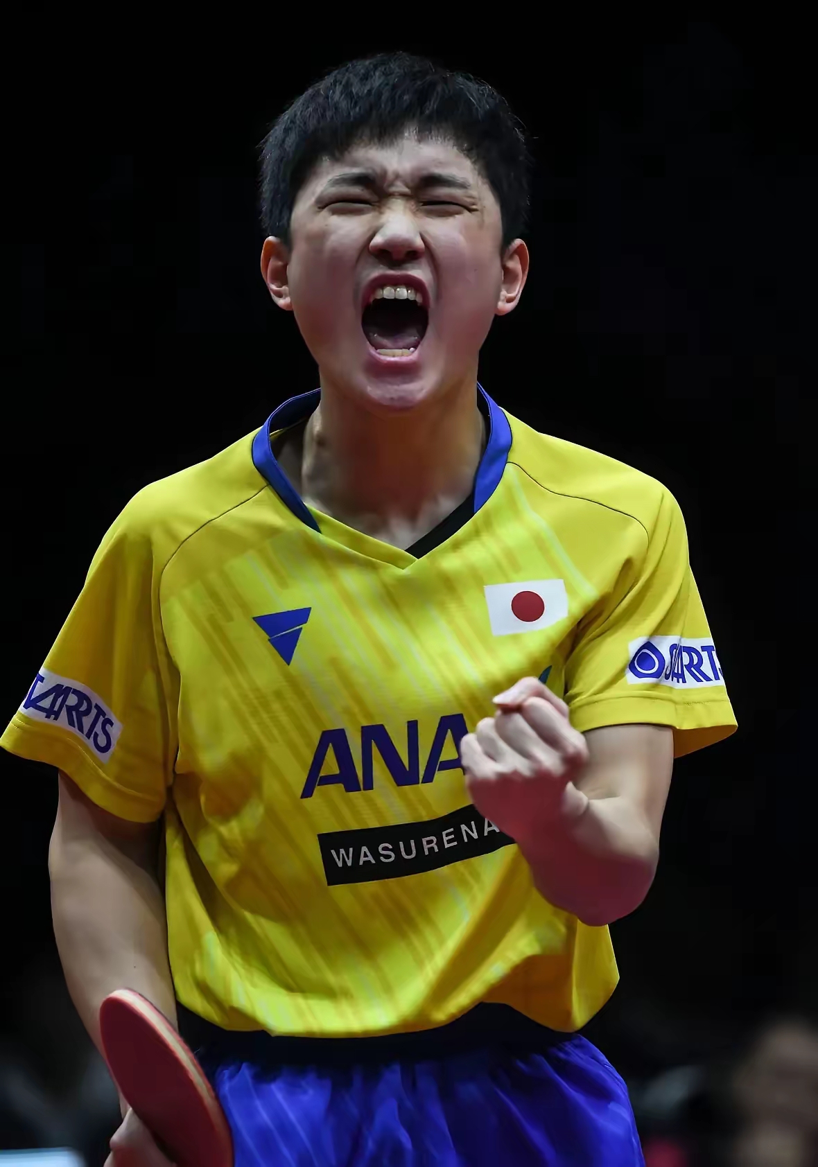 包含韩国乒乓球队血洗比利时乒乓球队，张本智和绝境逆转的词条