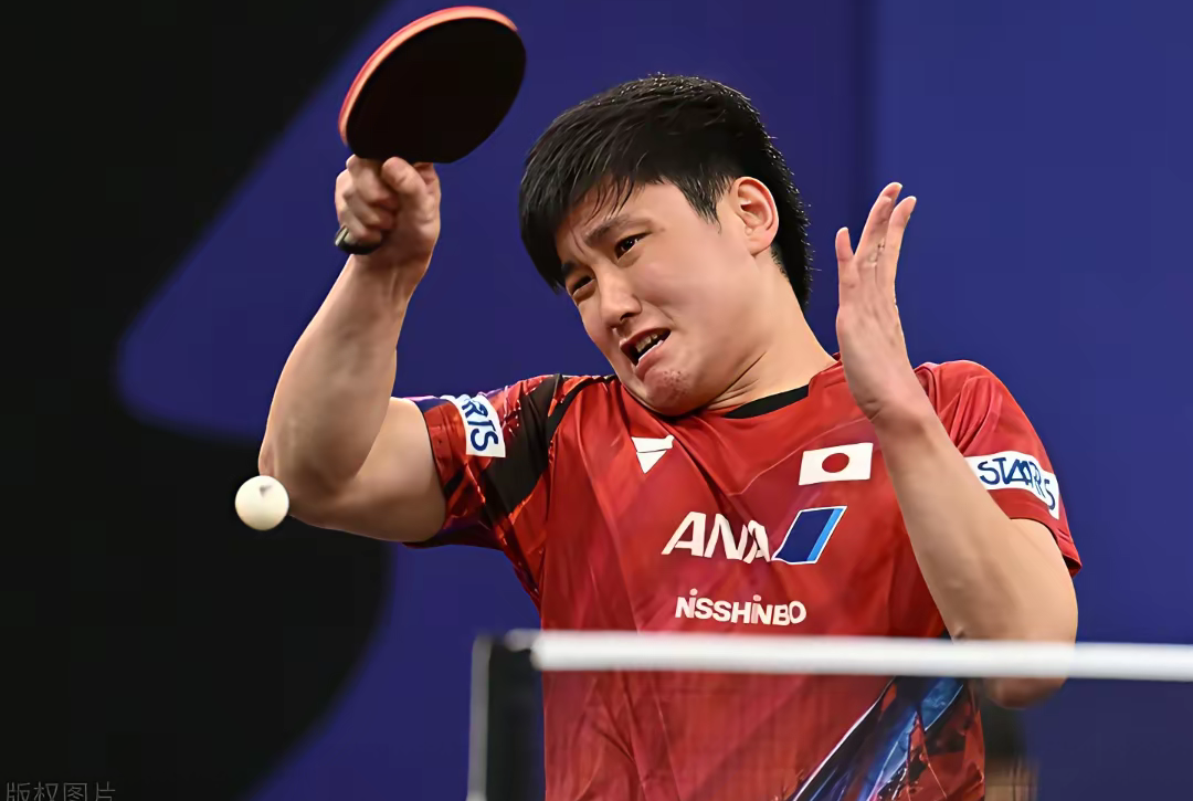 包含韩国乒乓球队血洗比利时乒乓球队，张本智和绝境逆转的词条