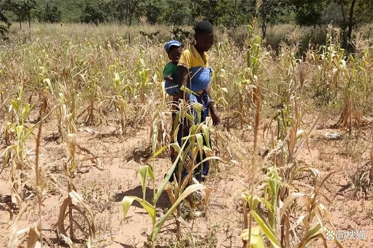 非洲国家推动农业现代化进程