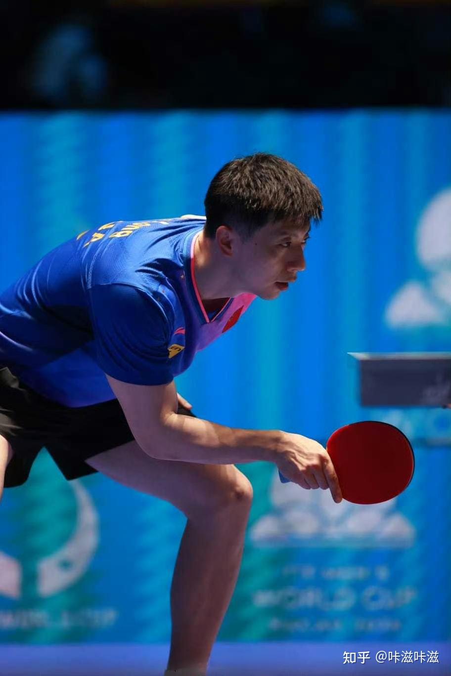 波兰乒乓球队翻盘日本乒乓球队，马龙高光表现的简单介绍