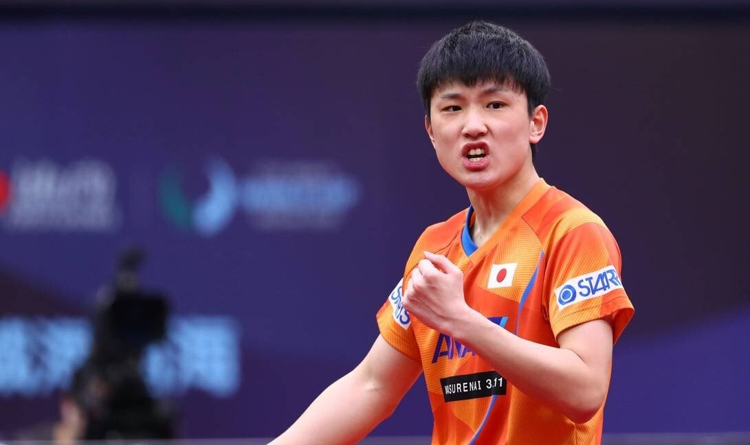 包含英格兰队横扫韩国队，张本智和高光表现的词条